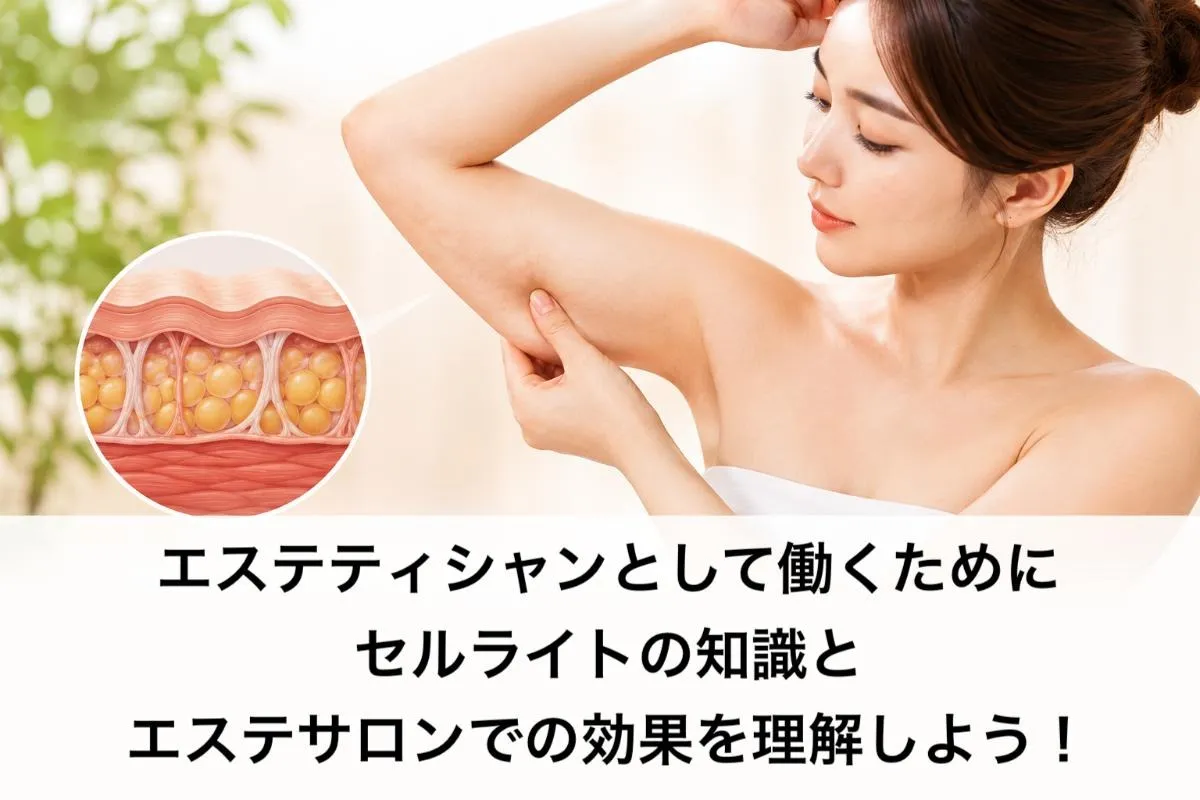 エステティシャンとして働くためにセルライトの知識とエステサロンでの効果を理解しよう!